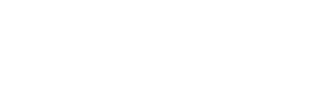 HSM Zenith wordmark
